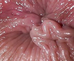 Close up ass fingering and dirty talk anal masturbation orgasm