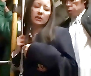 chikan girl molested on bus